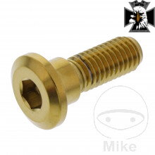 Skrutky brzdového kotúča M8X1.25 mm 24 mm nerez V4A zlatý pre Honda VT750 C4/C5 RC50 2006-2016