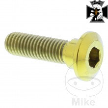 Skrutka brzdového kotúča JMP Bolt M8X  pre Kawasaki Vulcan VN900 2006-2017 1.25 mm 30 mm Titan zlatá farba 